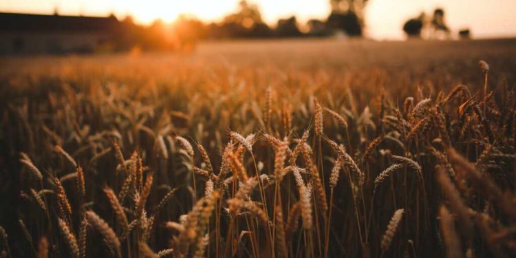 ارتفاع أسعار المواد الغذائية في تركيا