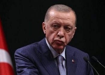 المشهد السياسي التركي بعد نتائج الانتخابات المحلية .. قراءة في الدلالات والتداعيات