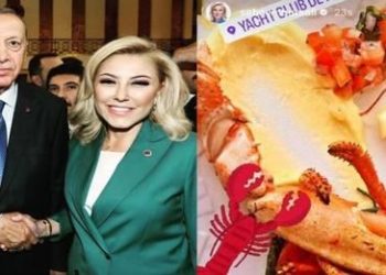 الكركند يعرض برلمانية عن حزب أردوغان لانتقادات واسعة