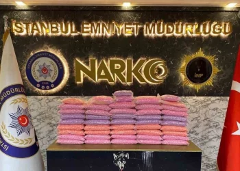 ضبط كميات من المخدرات واعتقال 194 شخصا في تركيا