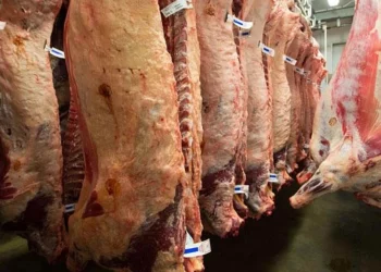 اكتشاف سالمونيلا في لحوم تستوردها تركيا من أوكرانيا!