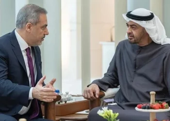 وزير الخارجية التركي يناقش مع الرئيس الإماراتي وضع غزة