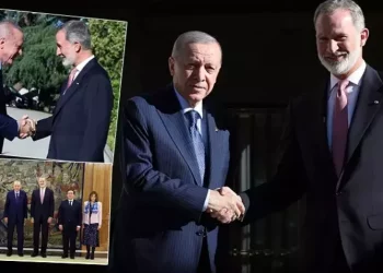 الرئيس أردوغان يلتقي بالملك فيليب السادس