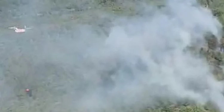 حريق بمنتزه كوبرولو الوطني في أنطاليا