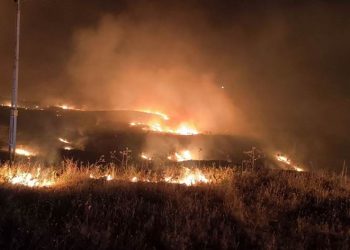وفيات وخسائر فادحة للمزارعين جراء حرائق ماردين وديار بكر