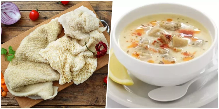 شوربة إشْكَمْبا (الكِرشة) – المطبخ التركي