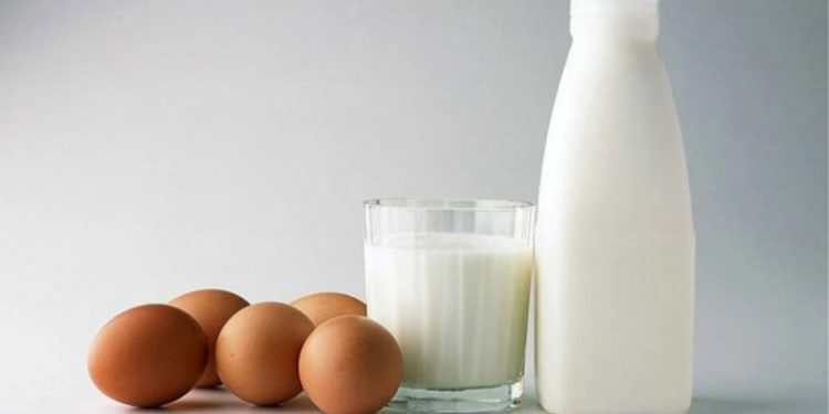 انخفاض إنتاج الحليب وزيادة البيض في تركيا