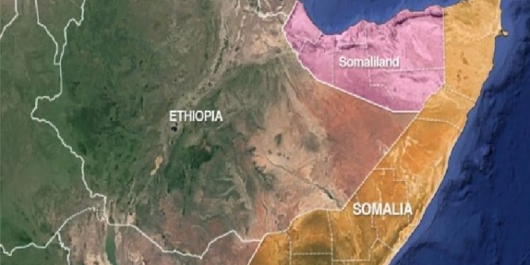 هل تتدخل تركيا لحل الأزمة بين صوماليلاند وجيبوتي