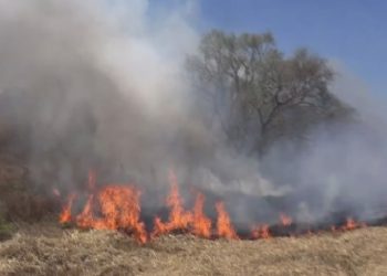 تركيا.. حريق بغابات أيدوس في إسطنبول