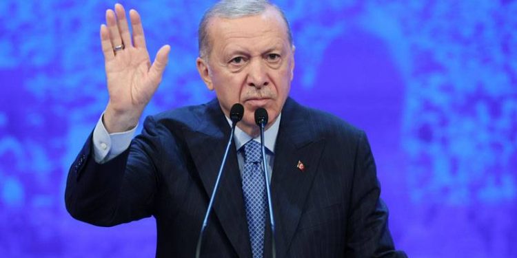 أردوغان يؤيد تمثيل أفريقيا بعضوية دائمة في مجلس الأمن