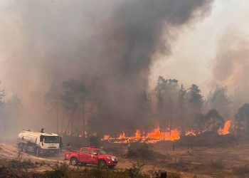 تركيا.. اعتقال 3 تسببوا بحريق في ولاية آيدن