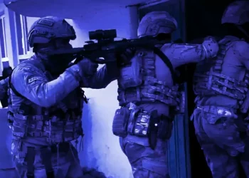 تركيا.. ضبط نضف طن من القنب الهندي في أرتفين