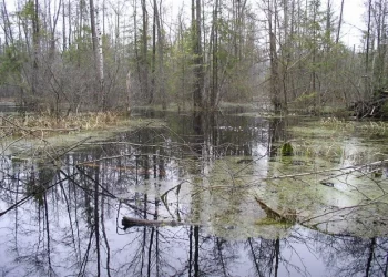 تركيا.. الحكومة تطرح عددا من الأصول العامة للبيع!