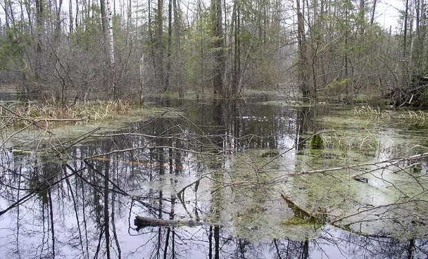 تركيا.. الحكومة تطرح عددا من الأصول العامة للبيع!