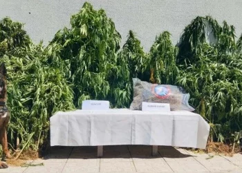 تركيا.. ضبط 1.5طن مخدرات واعتقال 46