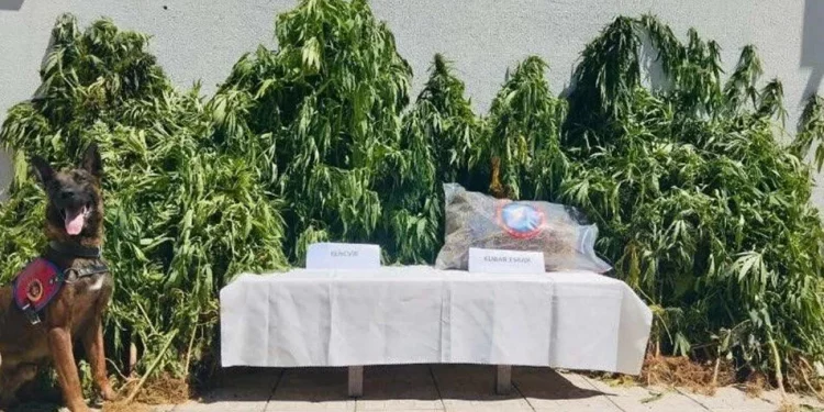 تركيا.. ضبط 1.5طن مخدرات واعتقال 46