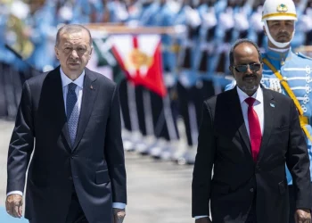 أردوغان يؤكد للرئيس الصومالي على أهمية التعاون