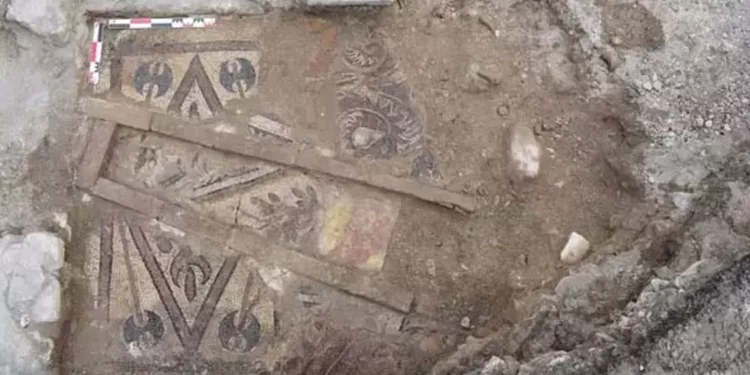 تركيا.. اكتشاف فسيفساء من العصر البيزنطي في أوردو