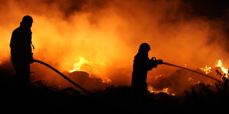 5 حرائق غابات نشطة في تركيا