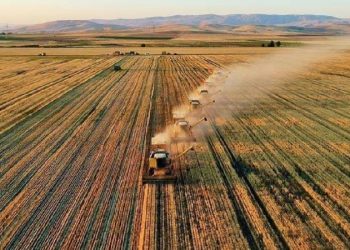 تركيا تدفع 2 مليار ليرة للمزارعين