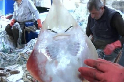 اصطياد سمكة ذات ”وجه بشري“ في أنطاليا