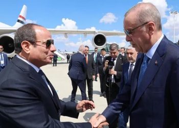أردوغان يستقبل السيسي بمطار أنقرة
