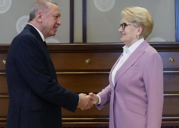 أردوغان يسقط الدعاوى القضائية بحق أكشنار