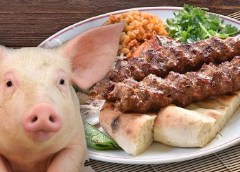 تركيا.. اتهامات لسلسلة مطاعم شهيرة باستخدام لحم الخنزير