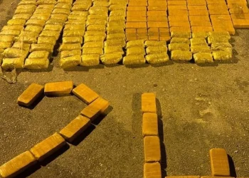 ضبط هيروين بقيمة 200 مليون ليرة تركية في ولاية “أرزينجان”