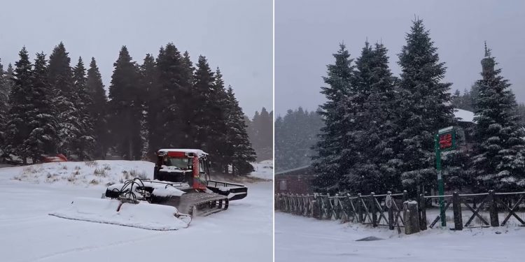 تركيا.. سمك الثلوج يصل 40 سم في بورصة