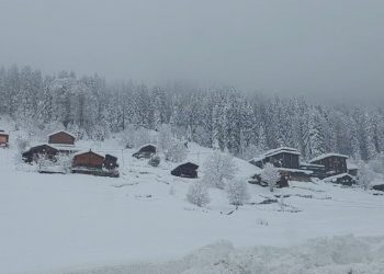 تركيا.. ارتفاع الثلوج يبلغ مترًا بهذه المدينة