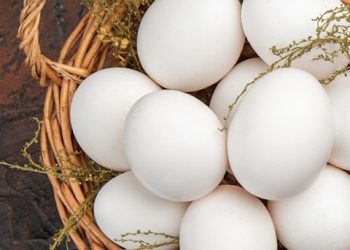 تركيا.. ارتفاع ملحوظ في أسعار البيض