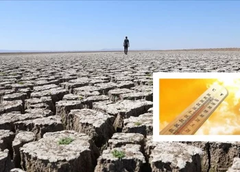 تركيا تشهد الصيف الأكثر سخونة خلال الـ 54 عامًا الماضية