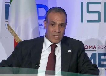 وزير الخارجية المصري: الخيارات العسكرية لا تحقق السلام والاستقرار الإقليمي