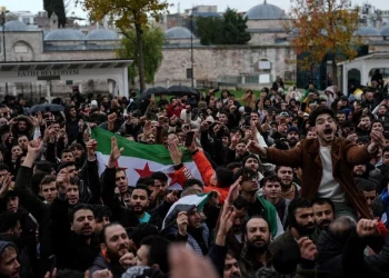 السوريون في تركيا يحتفلون بسقوط نظام الأسد