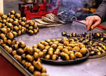 سعر كيلو الكستناء يسجل 1000 ليرة