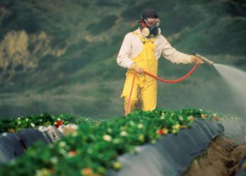 تركيا ثاني أكثر دولة صادراتها الزراعية إلى أوروبا ملوثة بالمبيدات