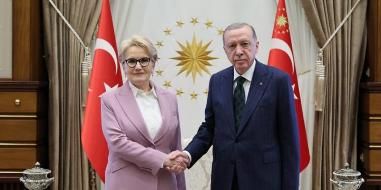 صحفي: أردوغان يعين “المرأة الحديدية” في منصب هام