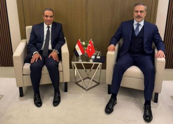 وزير خارجية مصر يبحث مع نظيره التركي التطورات السورية