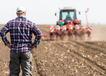 برلماني: ديون المزارعين في تركيا تتجاوز 800 مليار ليرة