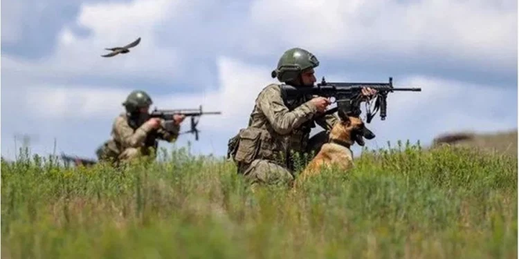 تركيا تعلن تحييد 5 إرهابيين في سورية والعراق