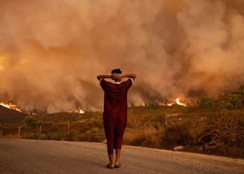 2024 العام الأكثر سخونة في التاريخ!