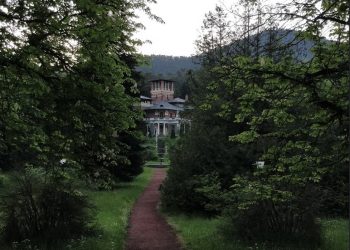 لا أحد يحزن