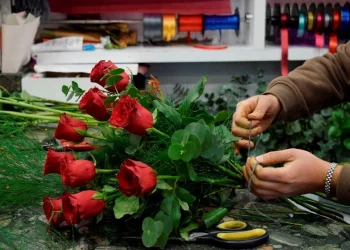 تركيا.. ارتفاع أسعار الورود الحمراء مع اقتراب عيد الحب
