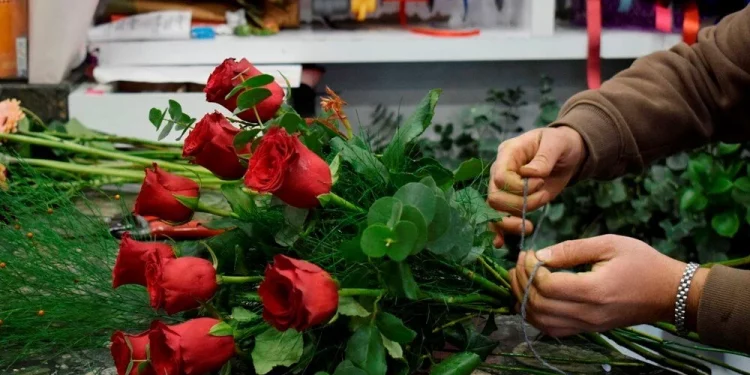 تركيا.. ارتفاع أسعار الورود الحمراء مع اقتراب عيد الحب