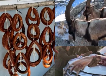 غرامة 2 مليون ليرة تركية لرجل ذبح ماعز جبلي لصنع النقانق!