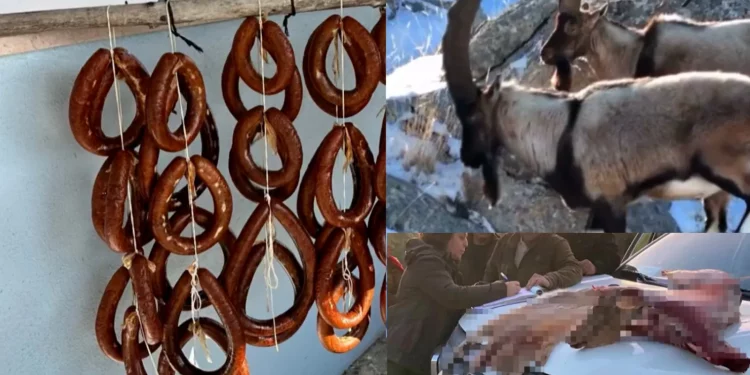 غرامة 2 مليون ليرة تركية لرجل ذبح ماعز جبلي لصنع النقانق!