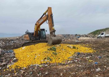 إتلاف 71 طن من الليمون التركي كانت مقررة للتصدير إلى دبي