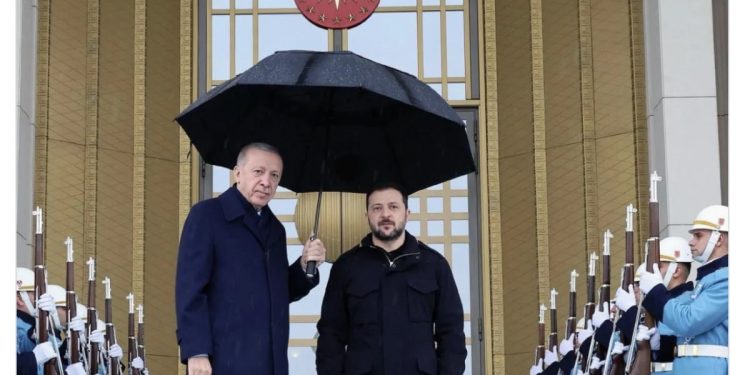 صحفي ألماني: أردوغان يفوز دائما