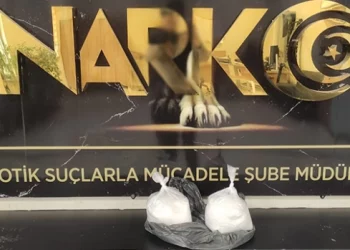 ضبط مخدرات اصطناعية في شرق تركيا